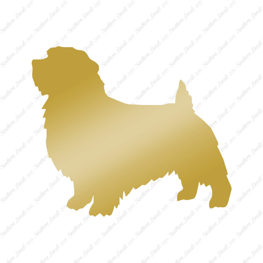 Norfolk Terrier Dog Breed