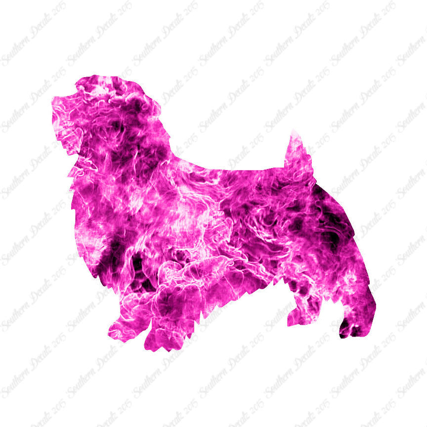Norfolk Terrier Dog Breed