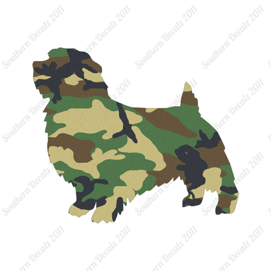 Norfolk Terrier Dog Breed