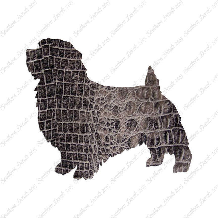 Norfolk Terrier Dog Breed