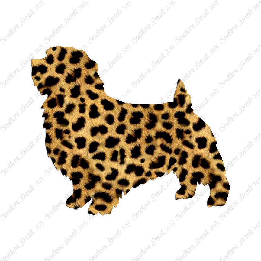 Norfolk Terrier Dog Breed
