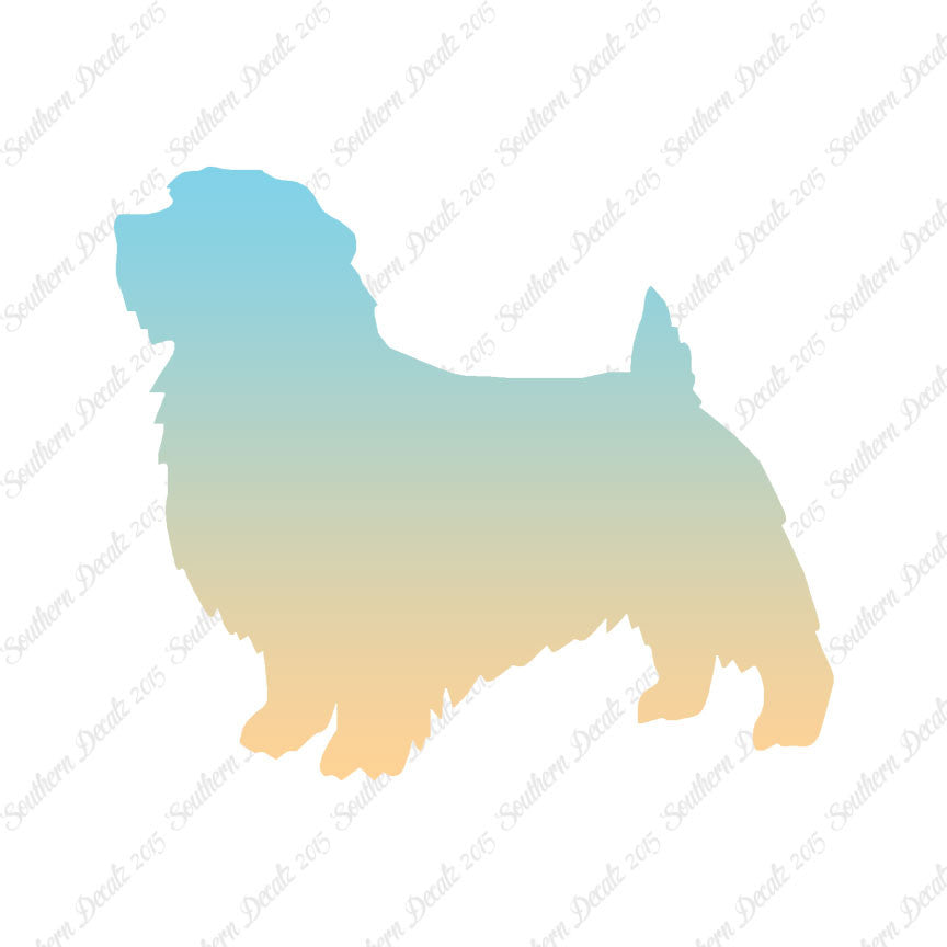 Norfolk Terrier Dog Breed