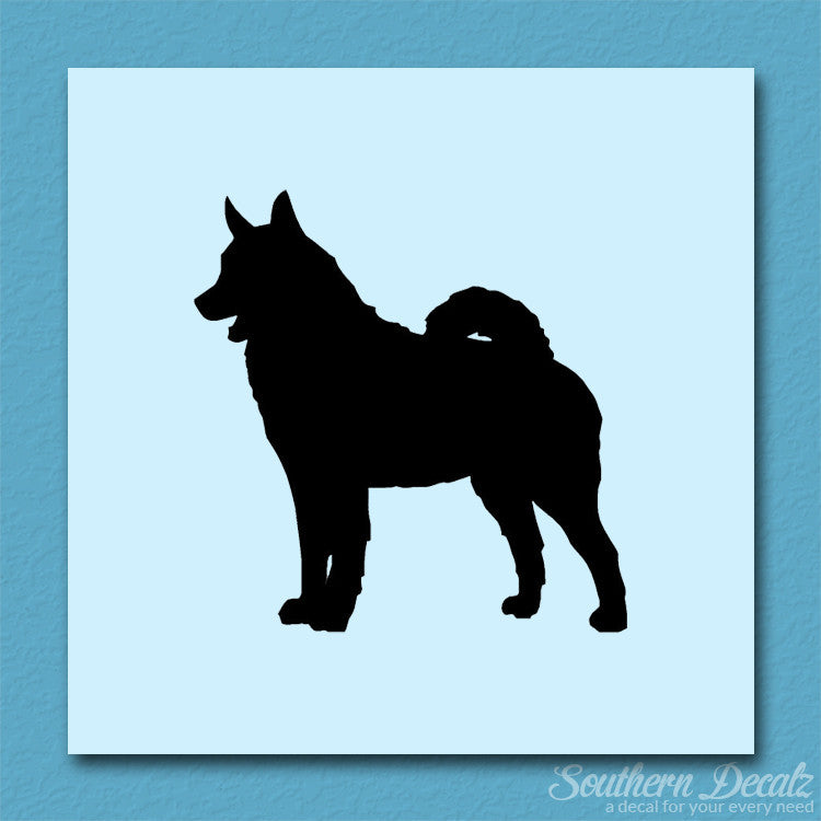 Norwegian Elkhound Dog Breed