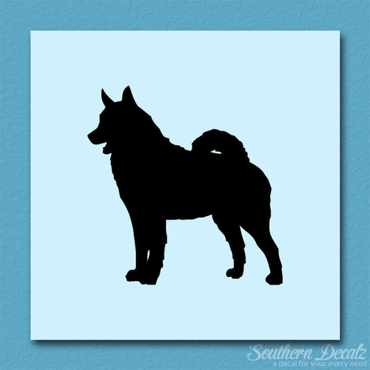 Norwegian Elkhound Dog Breed