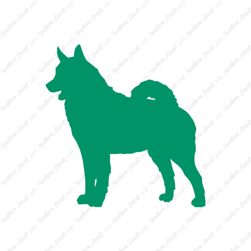 Norwegian Elkhound Dog Breed