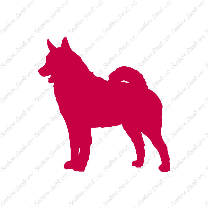 Norwegian Elkhound Dog Breed