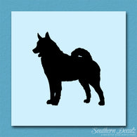 Norwegian Elkhound Dog Breed