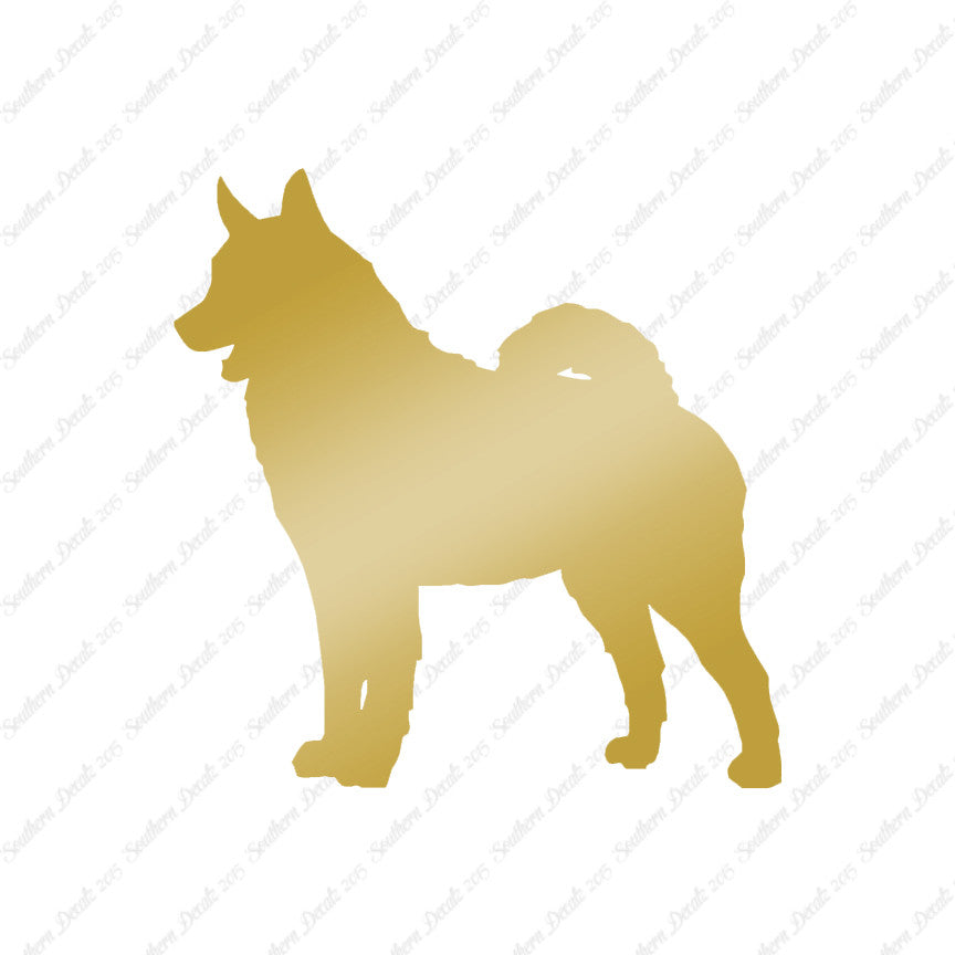 Norwegian Elkhound Dog Breed
