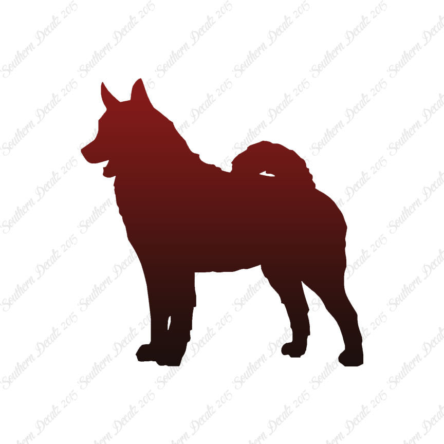 Norwegian Elkhound Dog Breed
