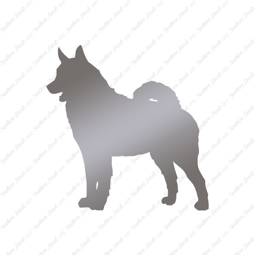 Norwegian Elkhound Dog Breed