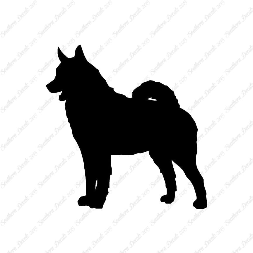 Norwegian Elkhound Dog Breed