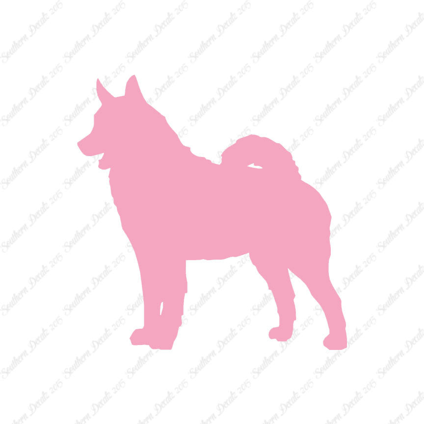 Norwegian Elkhound Dog Breed