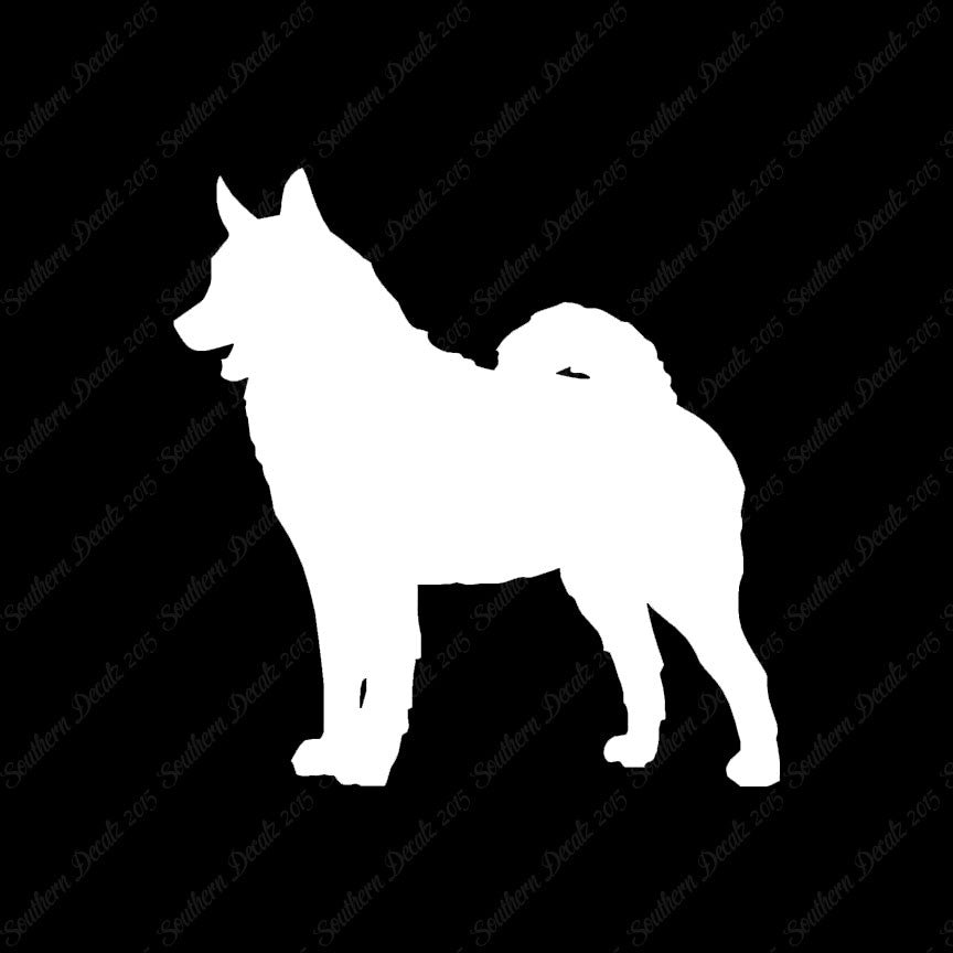 Norwegian Elkhound Dog Breed
