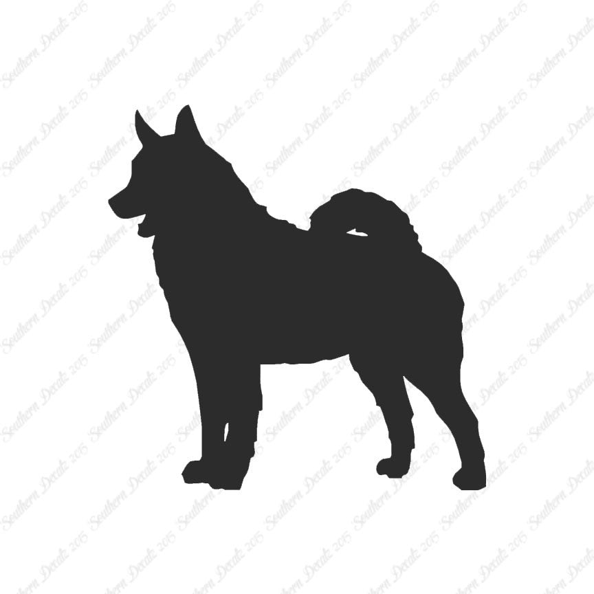 Norwegian Elkhound Dog Breed