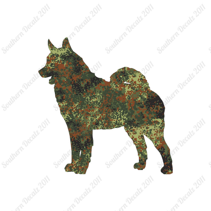 Norwegian Elkhound Dog Breed