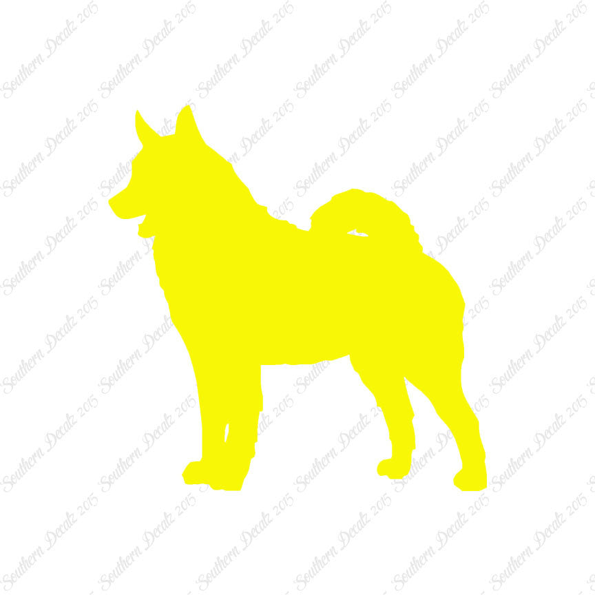 Norwegian Elkhound Dog Breed