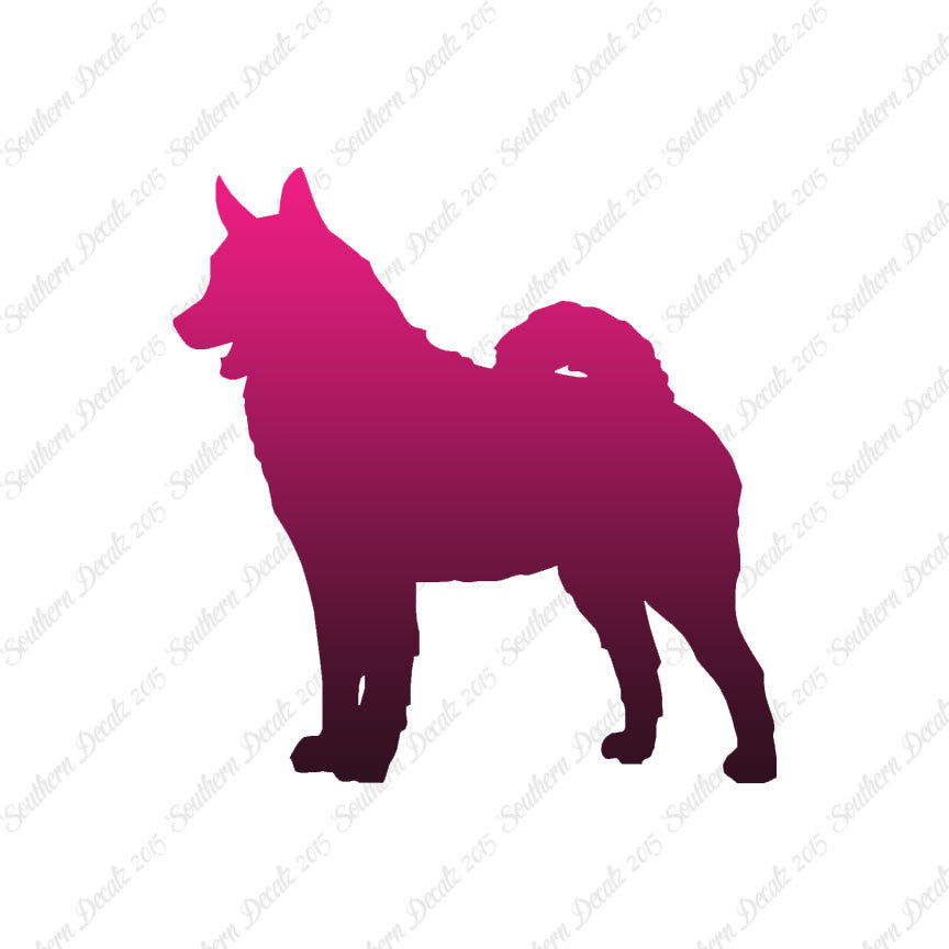 Norwegian Elkhound Dog Breed