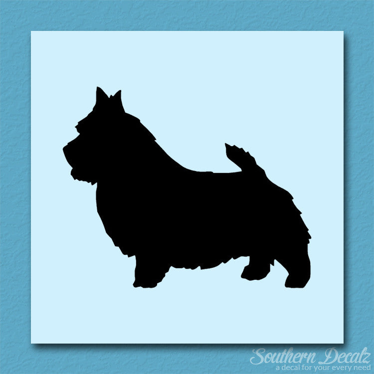 Norwich Terrier Dog Breed