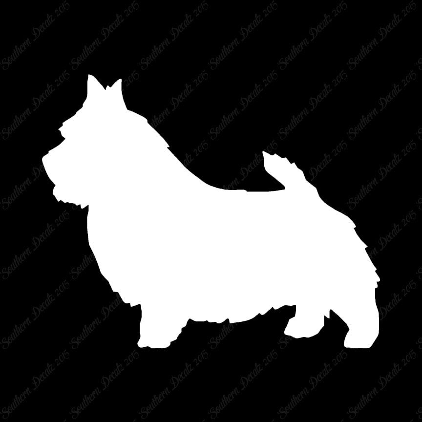 Norwich Terrier Dog Breed