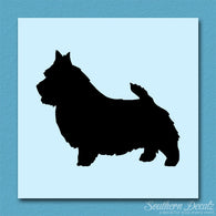 Norwich Terrier Dog Breed