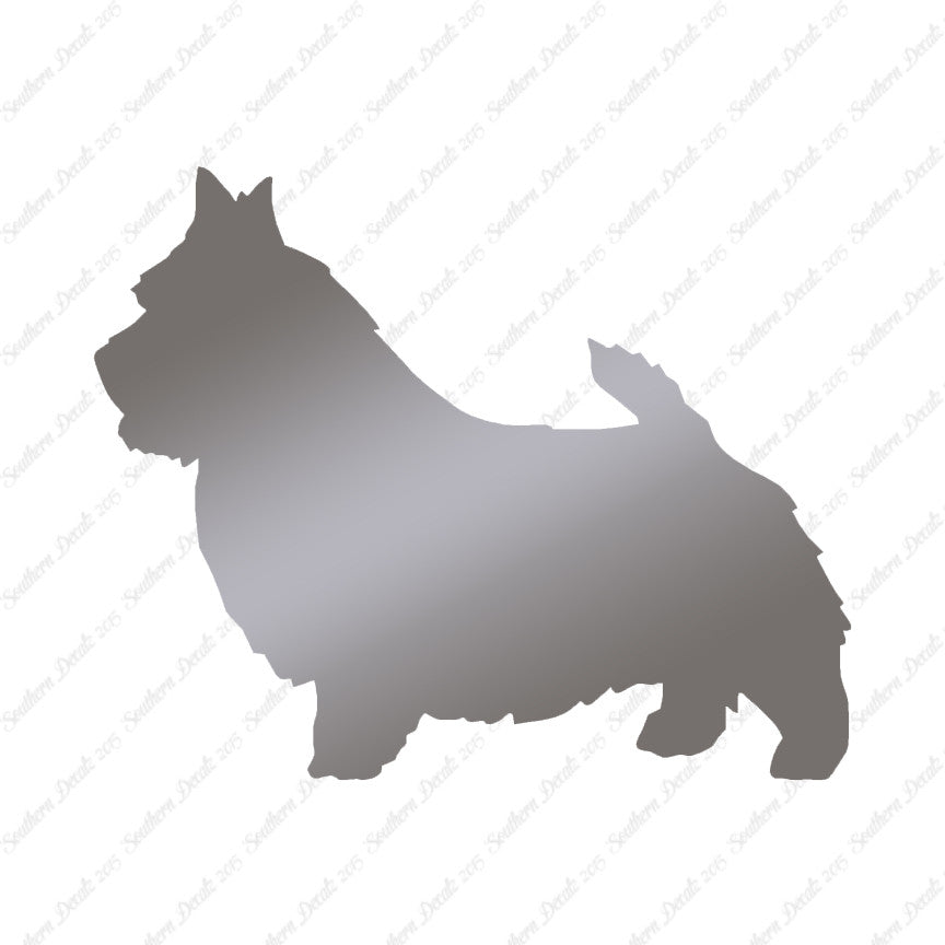 Norwich Terrier Dog Breed