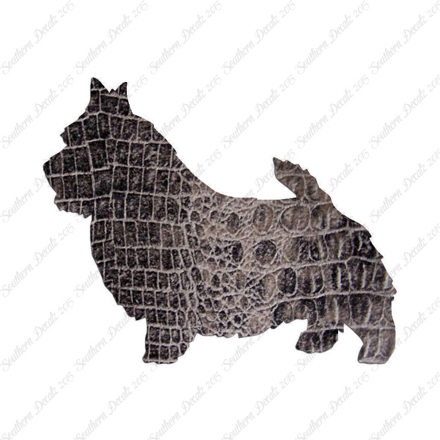 Norwich Terrier Dog Breed