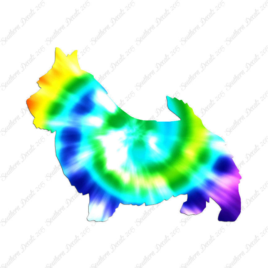 Norwich Terrier Dog Breed