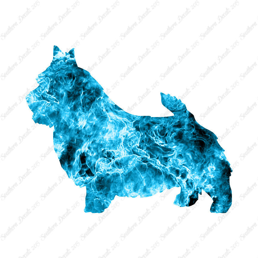 Norwich Terrier Dog Breed