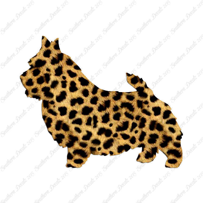 Norwich Terrier Dog Breed