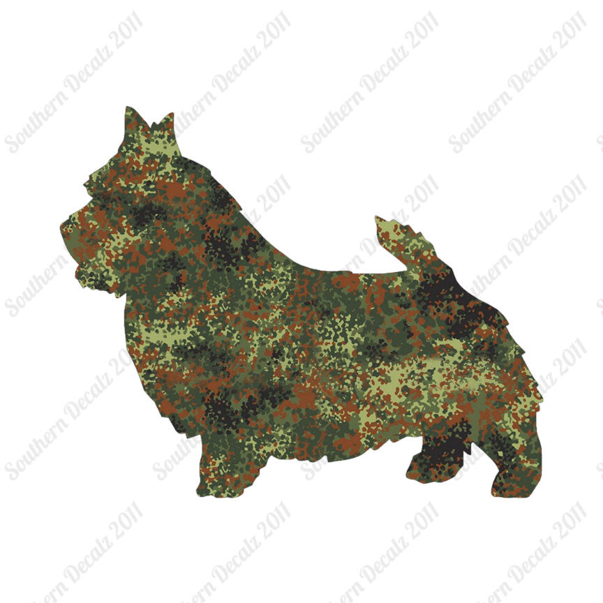 Norwich Terrier Dog Breed