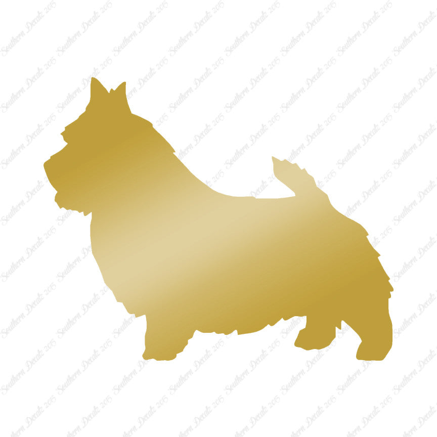 Norwich Terrier Dog Breed