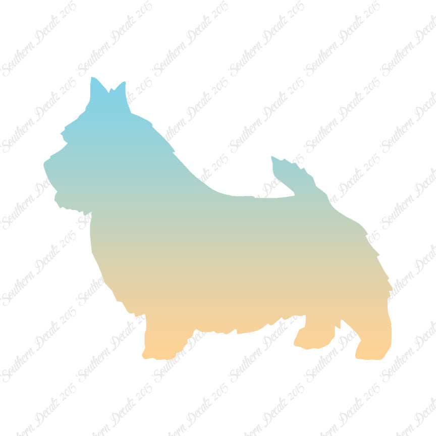Norwich Terrier Dog Breed
