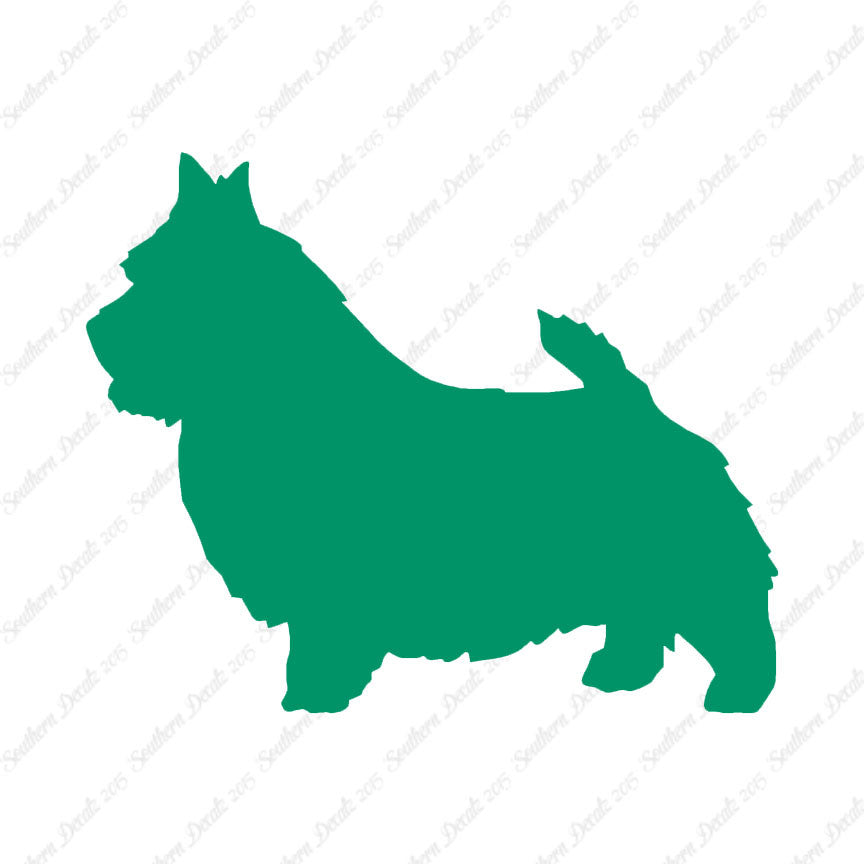 Norwich Terrier Dog Breed
