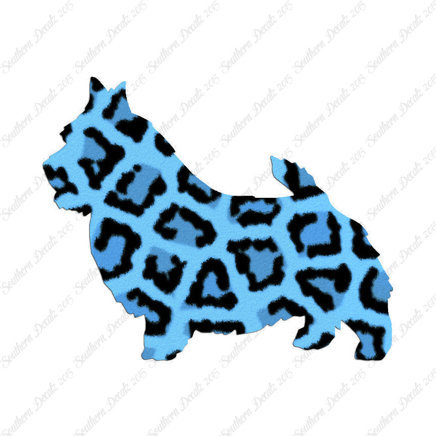 Norwich Terrier Dog Breed