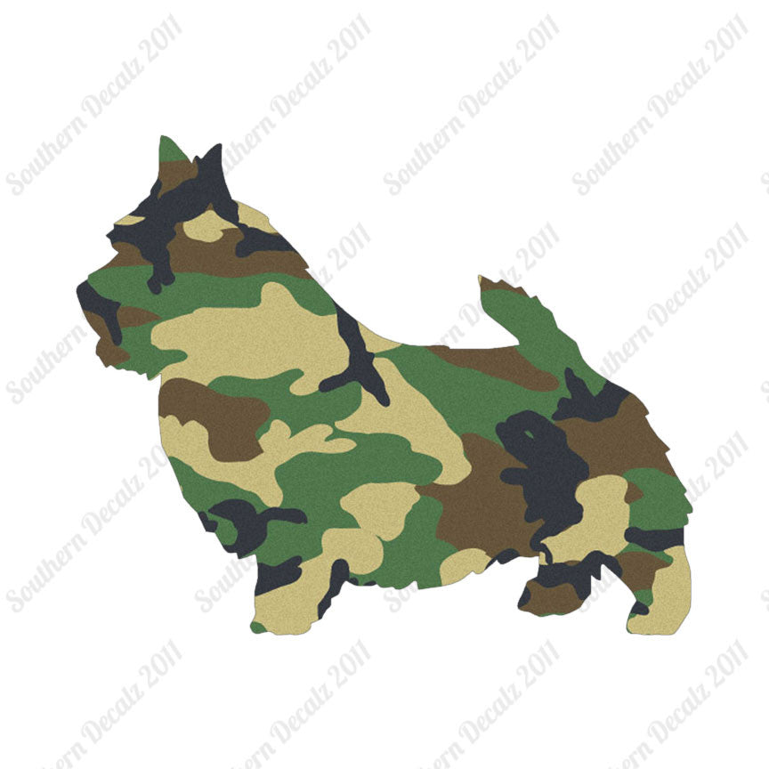 Norwich Terrier Dog Breed