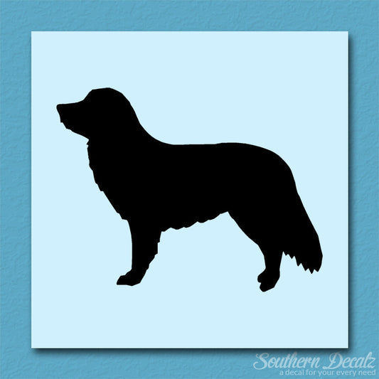 Duck Tolling Retriever Dog Breed
