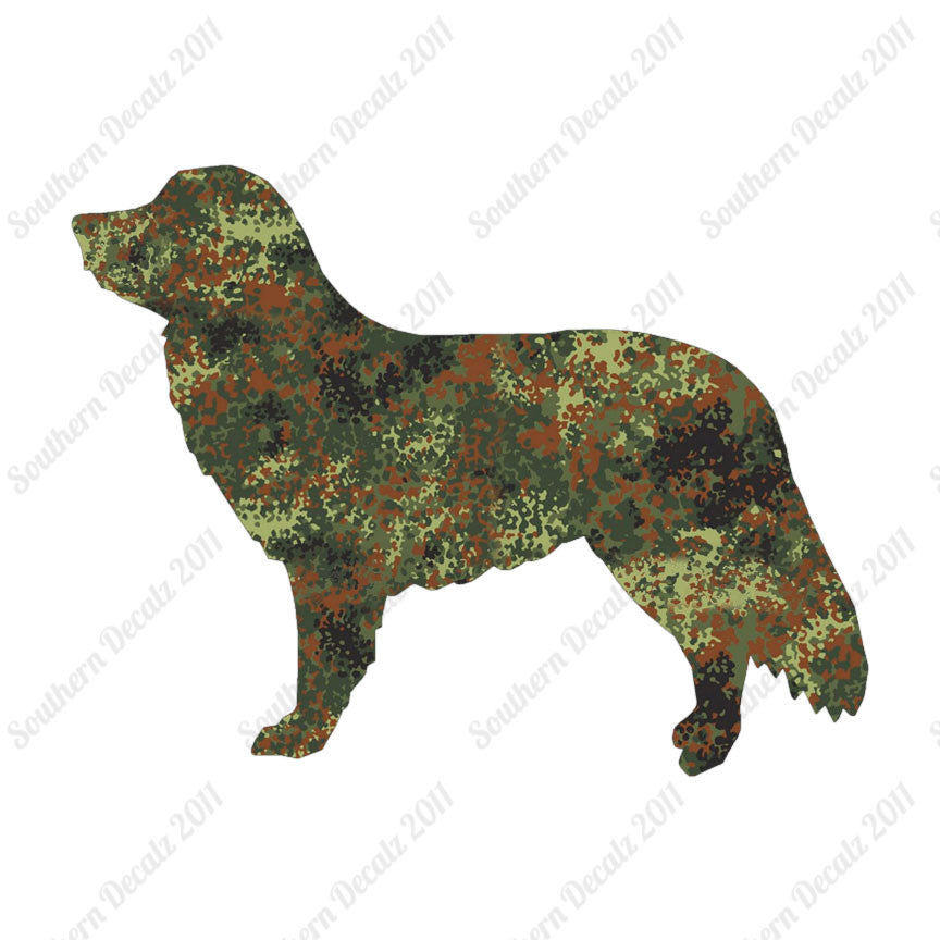 Duck Tolling Retriever Dog Breed