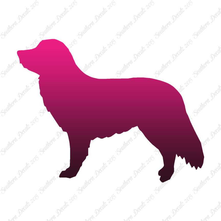 Duck Tolling Retriever Dog Breed