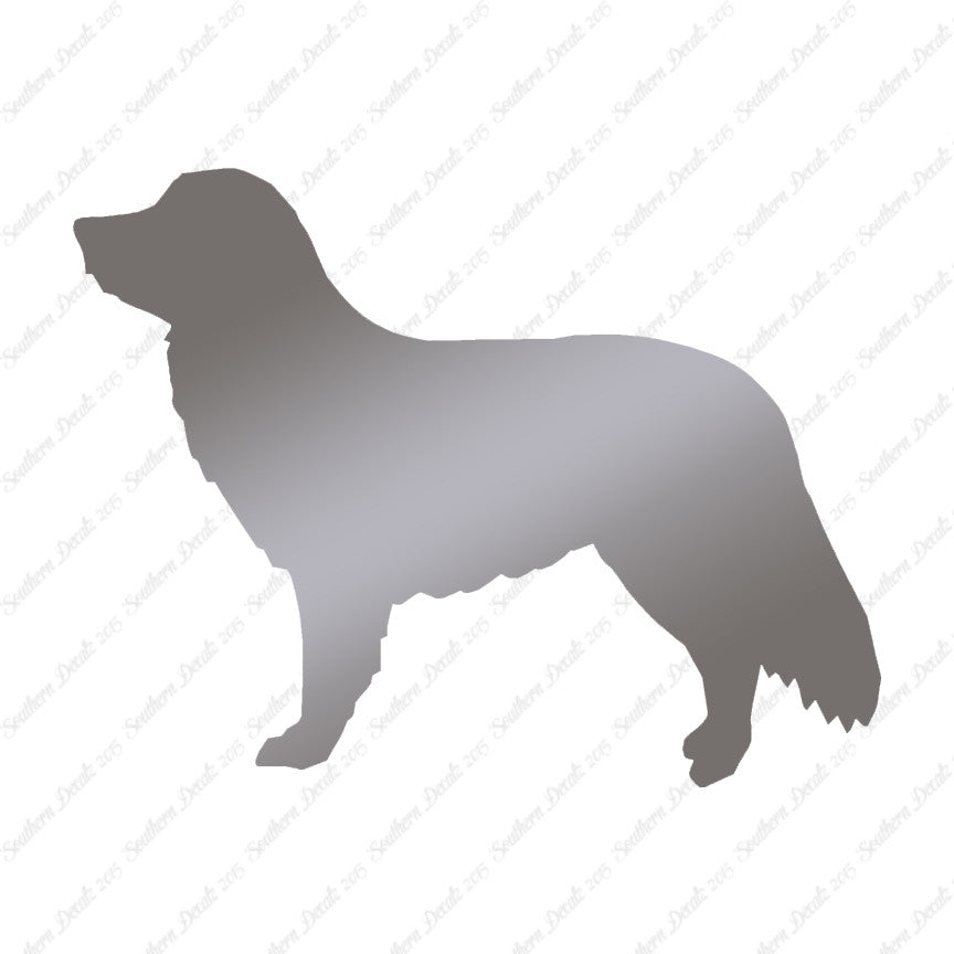 Duck Tolling Retriever Dog Breed