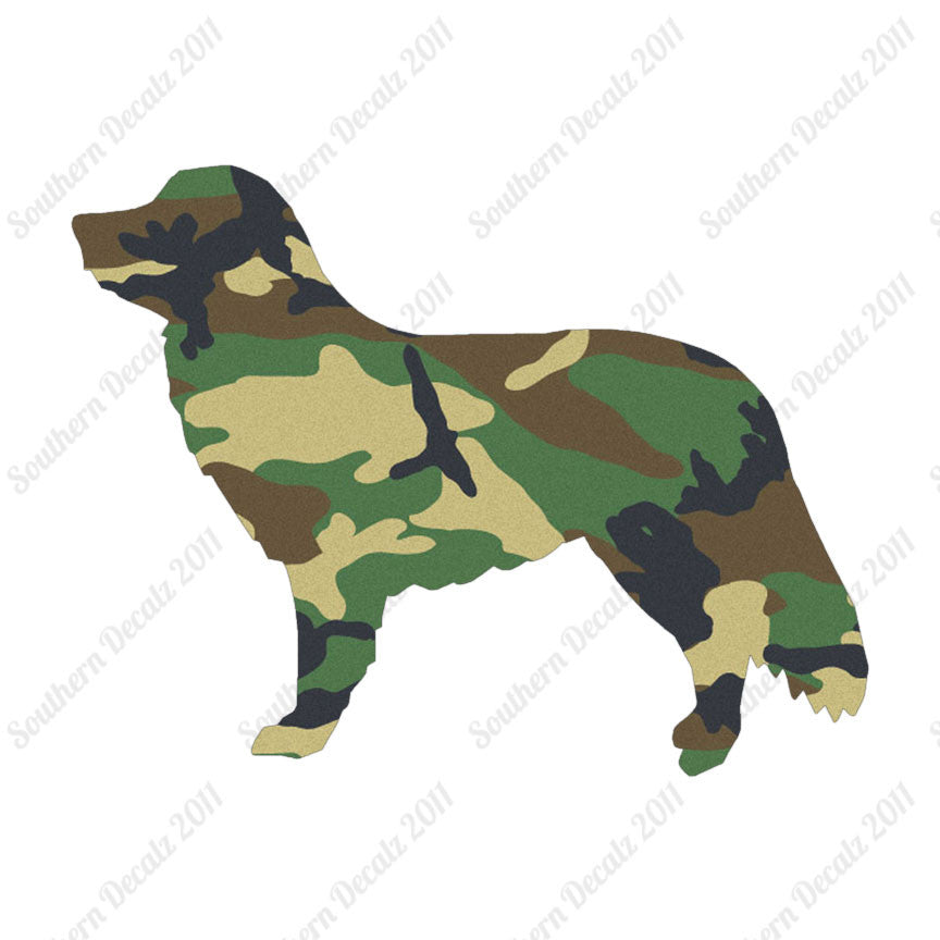 Duck Tolling Retriever Dog Breed