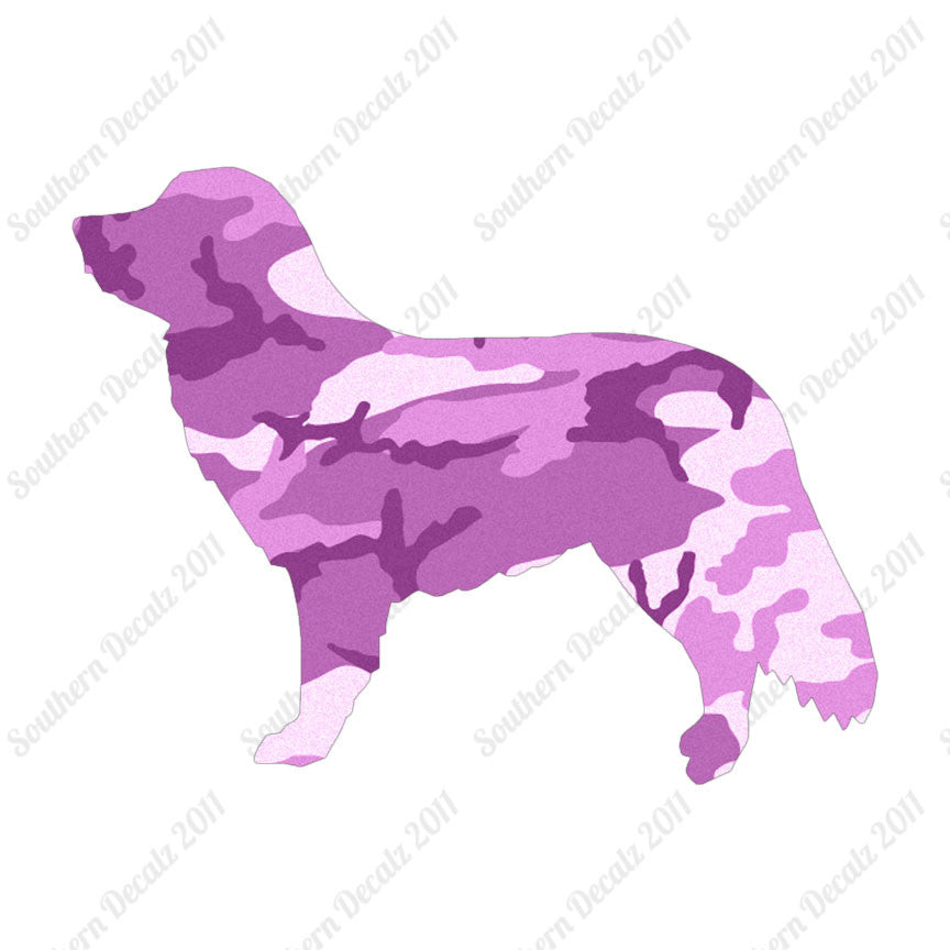 Duck Tolling Retriever Dog Breed