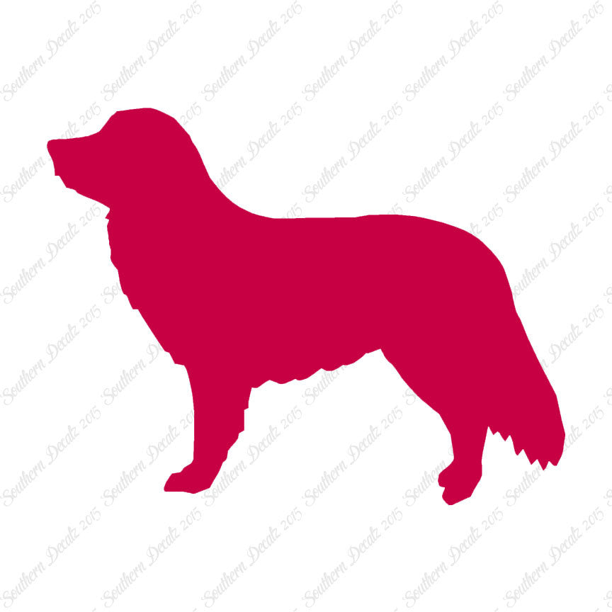 Duck Tolling Retriever Dog Breed