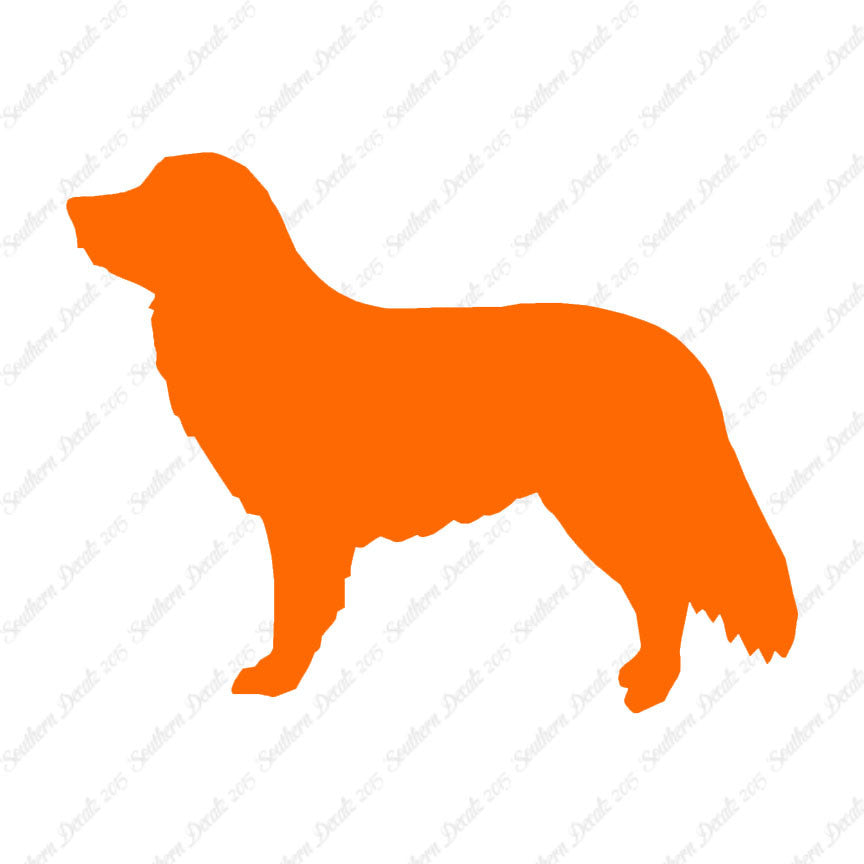 Duck Tolling Retriever Dog Breed
