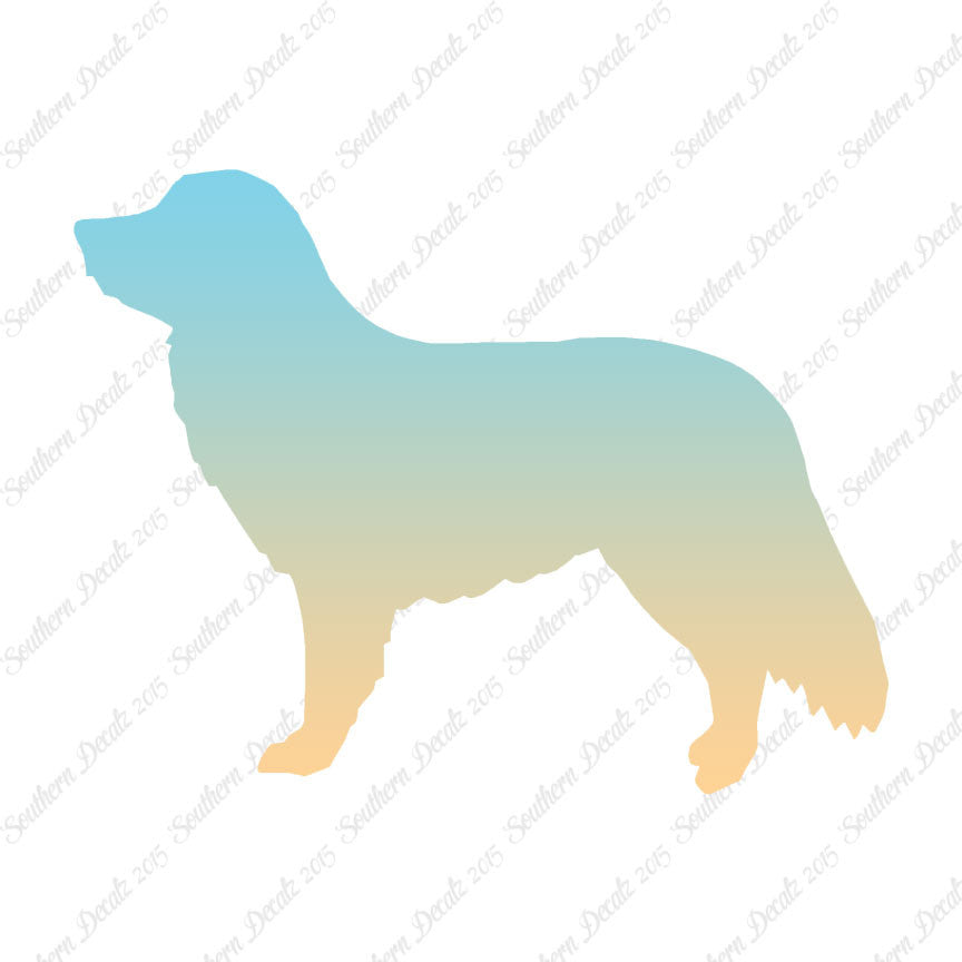 Duck Tolling Retriever Dog Breed