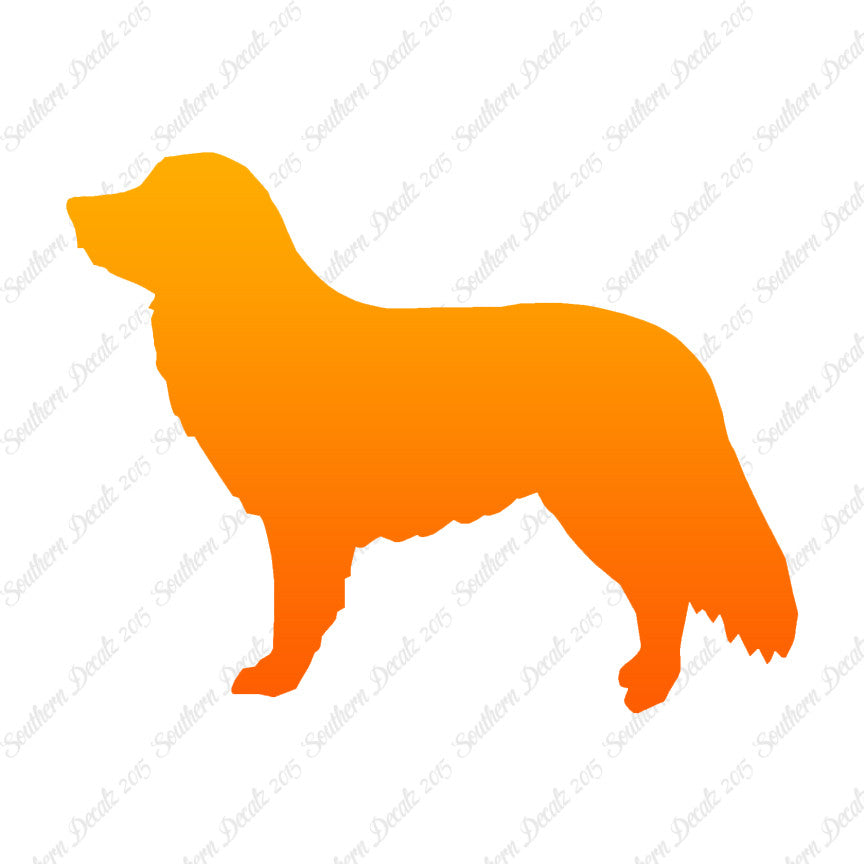 Duck Tolling Retriever Dog Breed