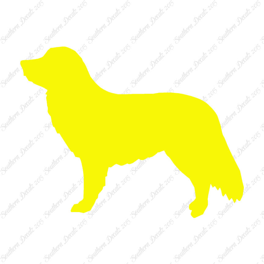 Duck Tolling Retriever Dog Breed