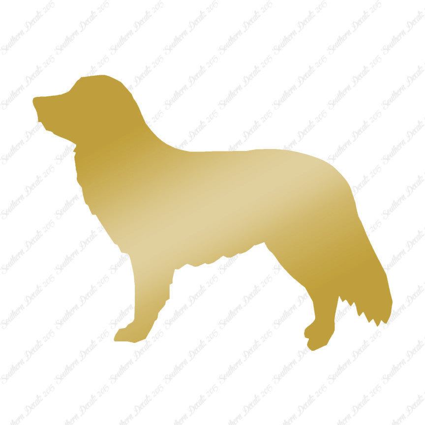 Duck Tolling Retriever Dog Breed