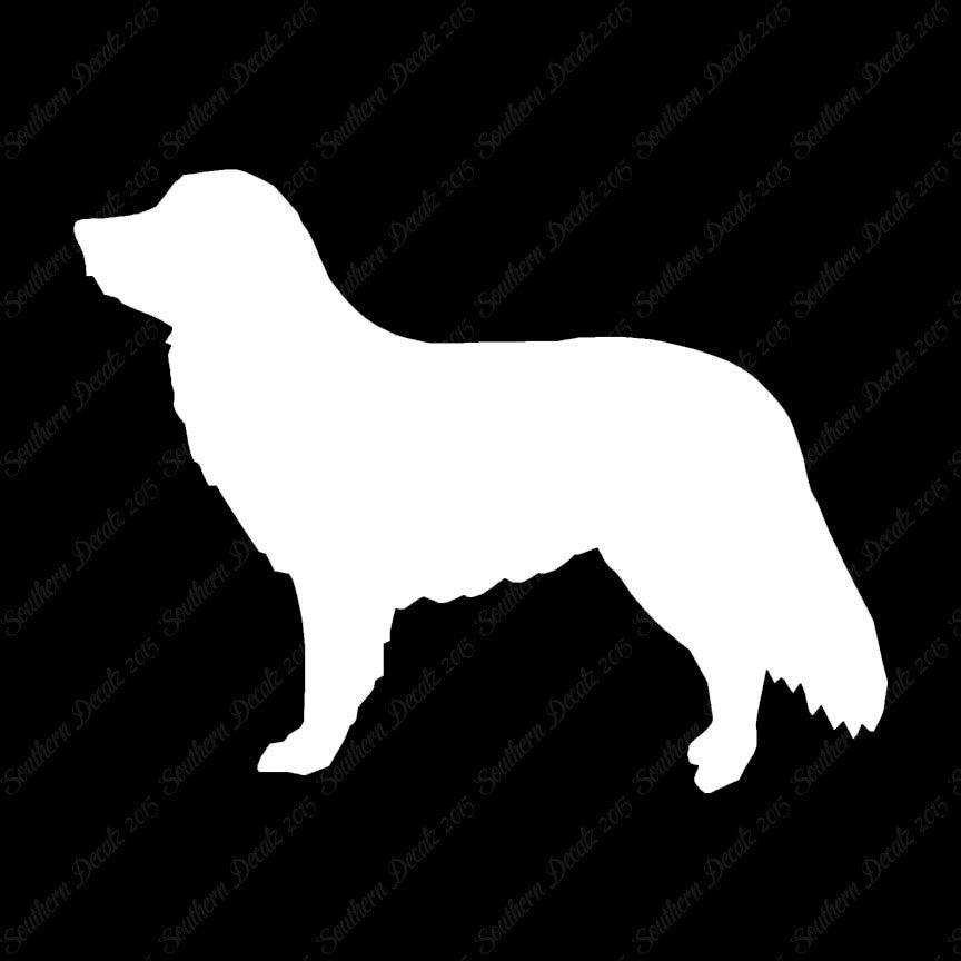 Duck Tolling Retriever Dog Breed