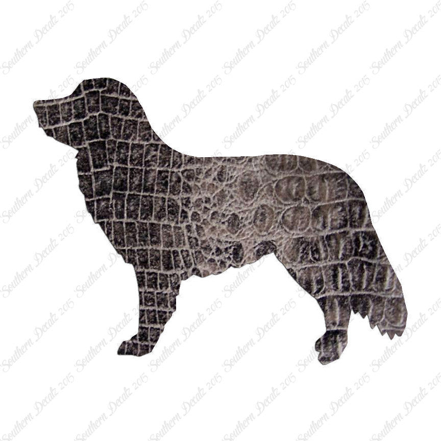 Duck Tolling Retriever Dog Breed