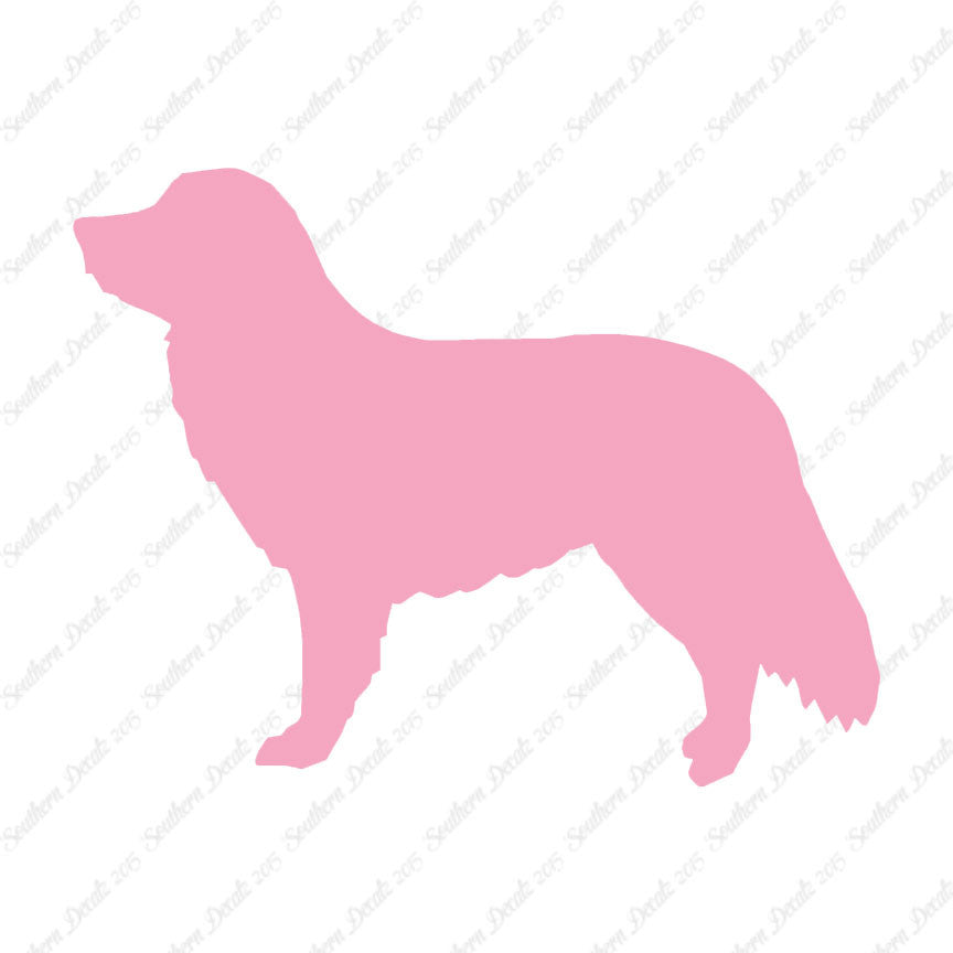 Duck Tolling Retriever Dog Breed